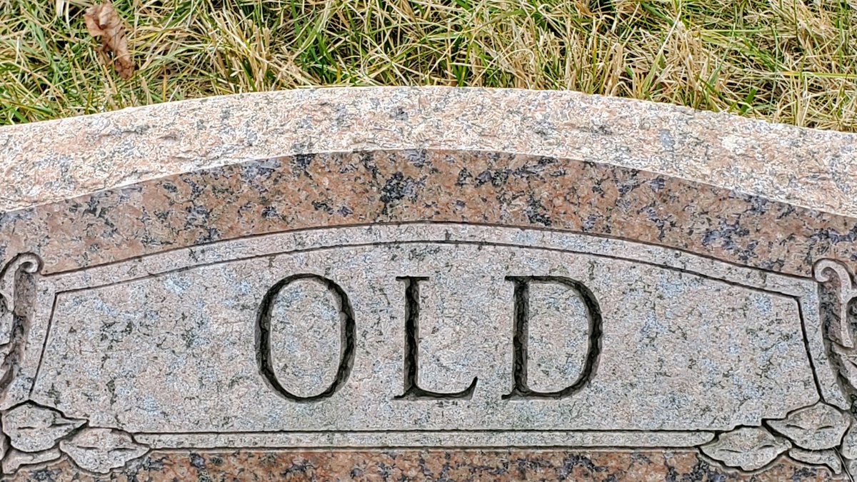 How Old Is Izuku Midoriya in Sword Art Online If Hes Not